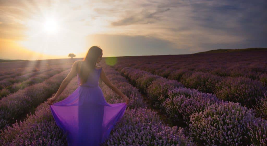 woman in purple dress standing in lavender field
