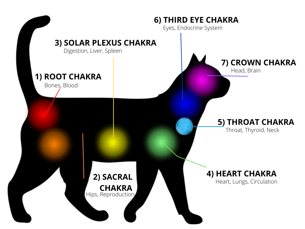 cat chakra chart