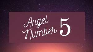 angel number 5 on purple background