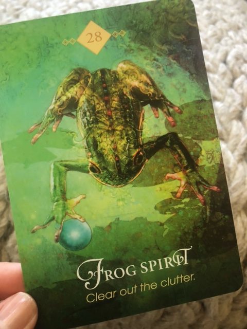 frog spirit card from spirit animal oracle