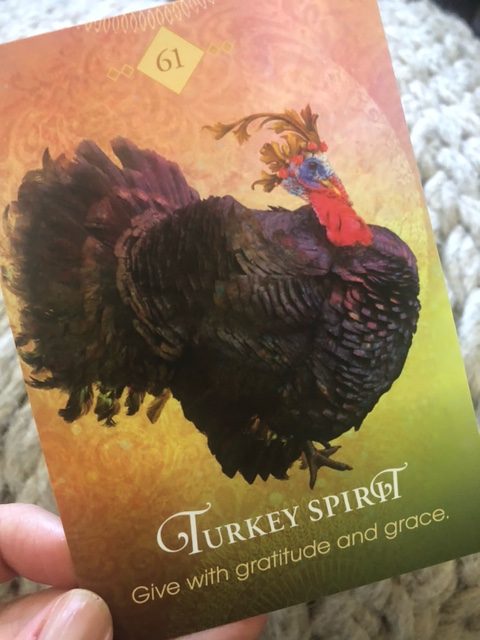 turkey spirit card from spirit animal oracle