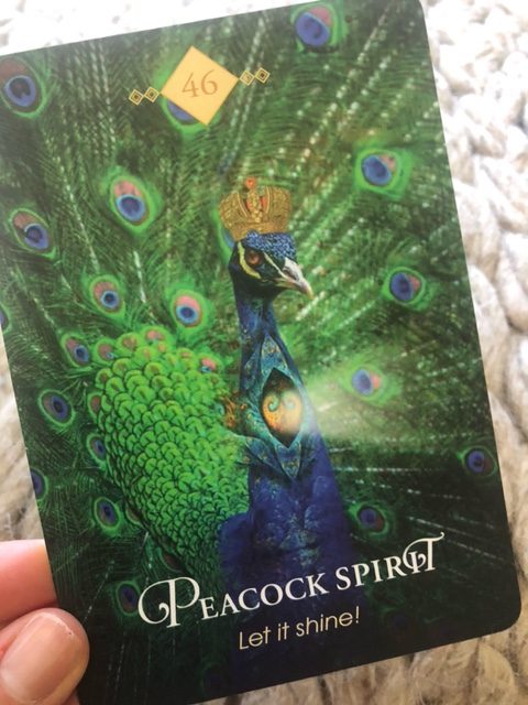frog spirit card from spirit animal oracle