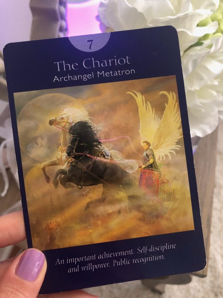 chariot tarot card