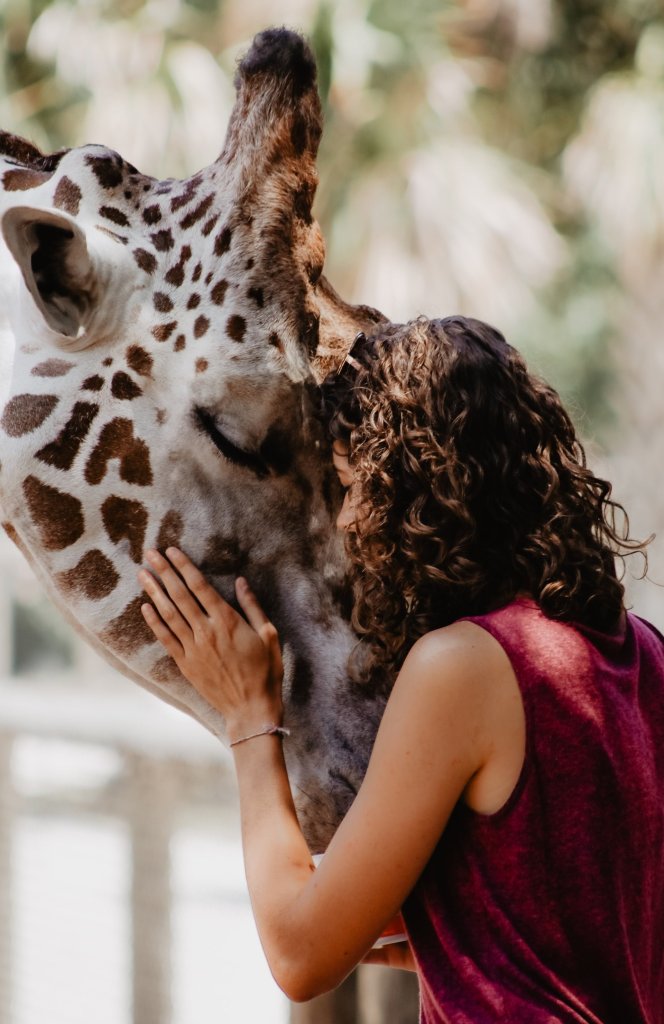 woman petting a giraffe