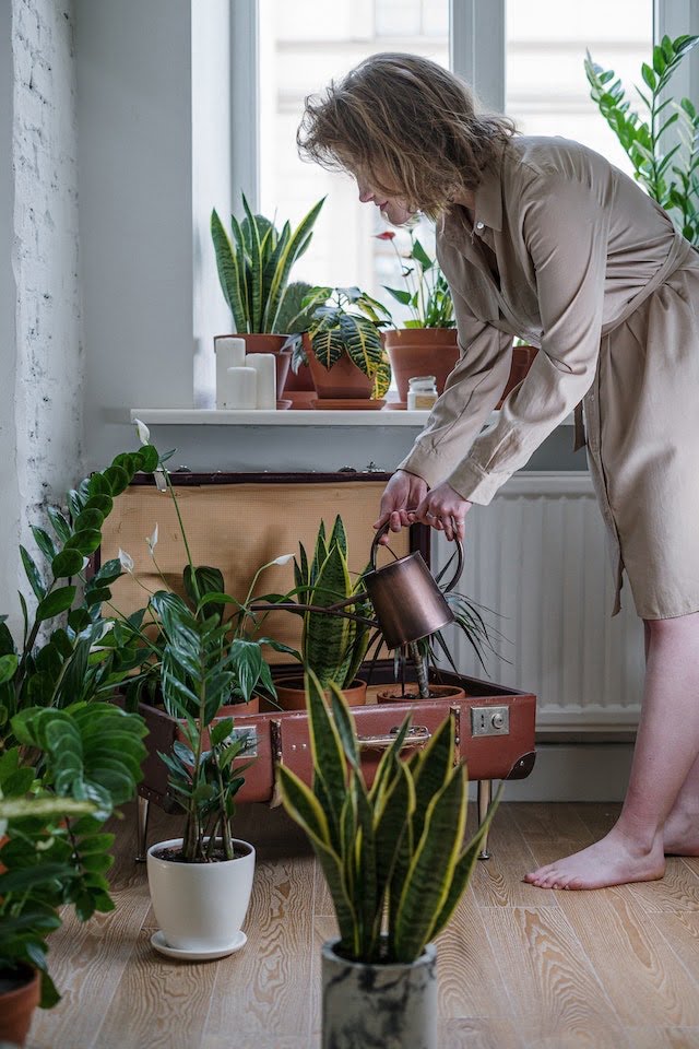 woman watering potted plants