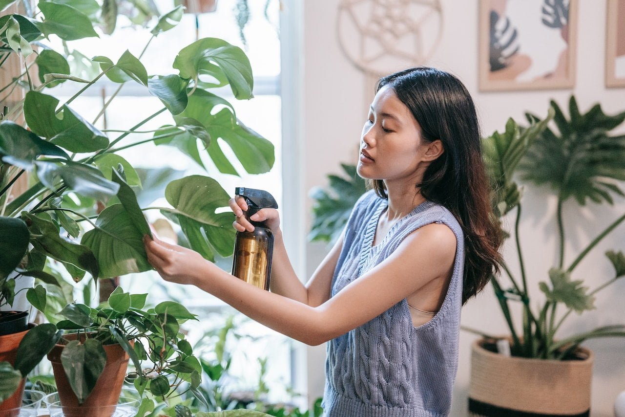 woman spritzing plant with water bottle