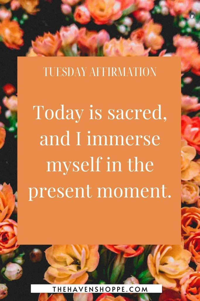 Tuesday affirmation: Today is sacred, and I immerse myself in the present moment. 