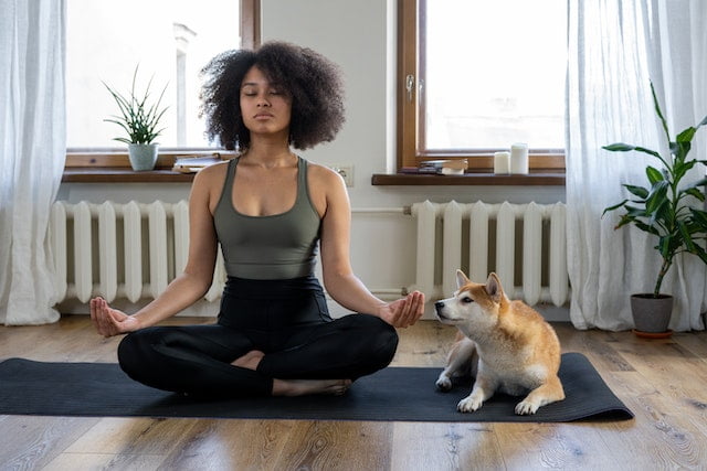 cross-legged woman meditating on yoga mat next to dog