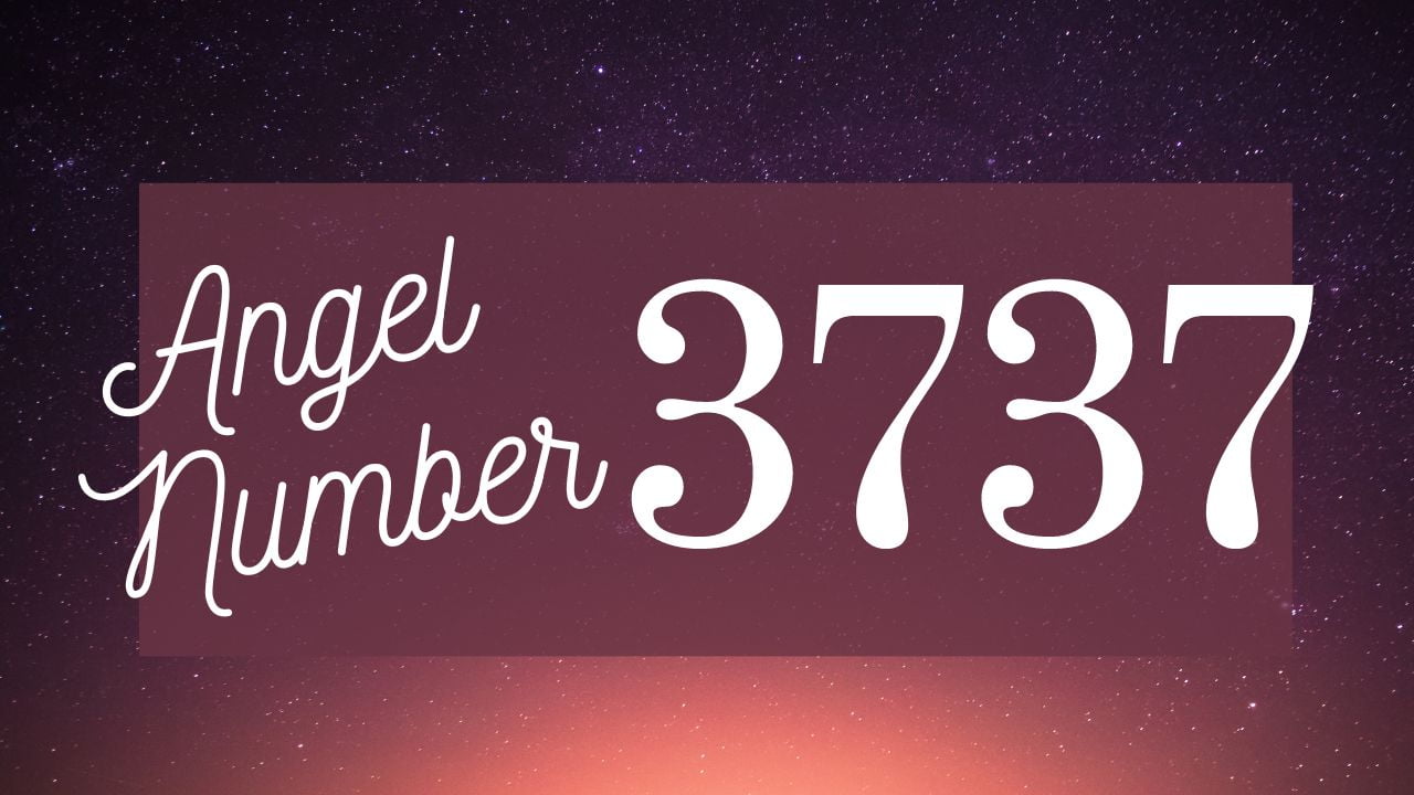 angel number 3737 on purple background