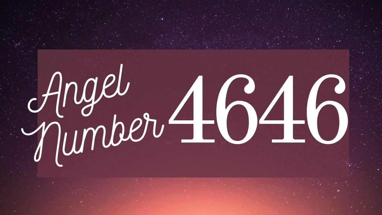 angel number 4646 on purple background