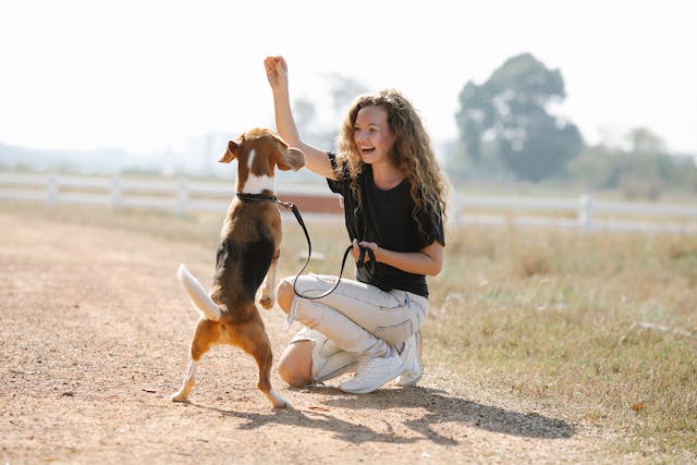 woman playing with dog